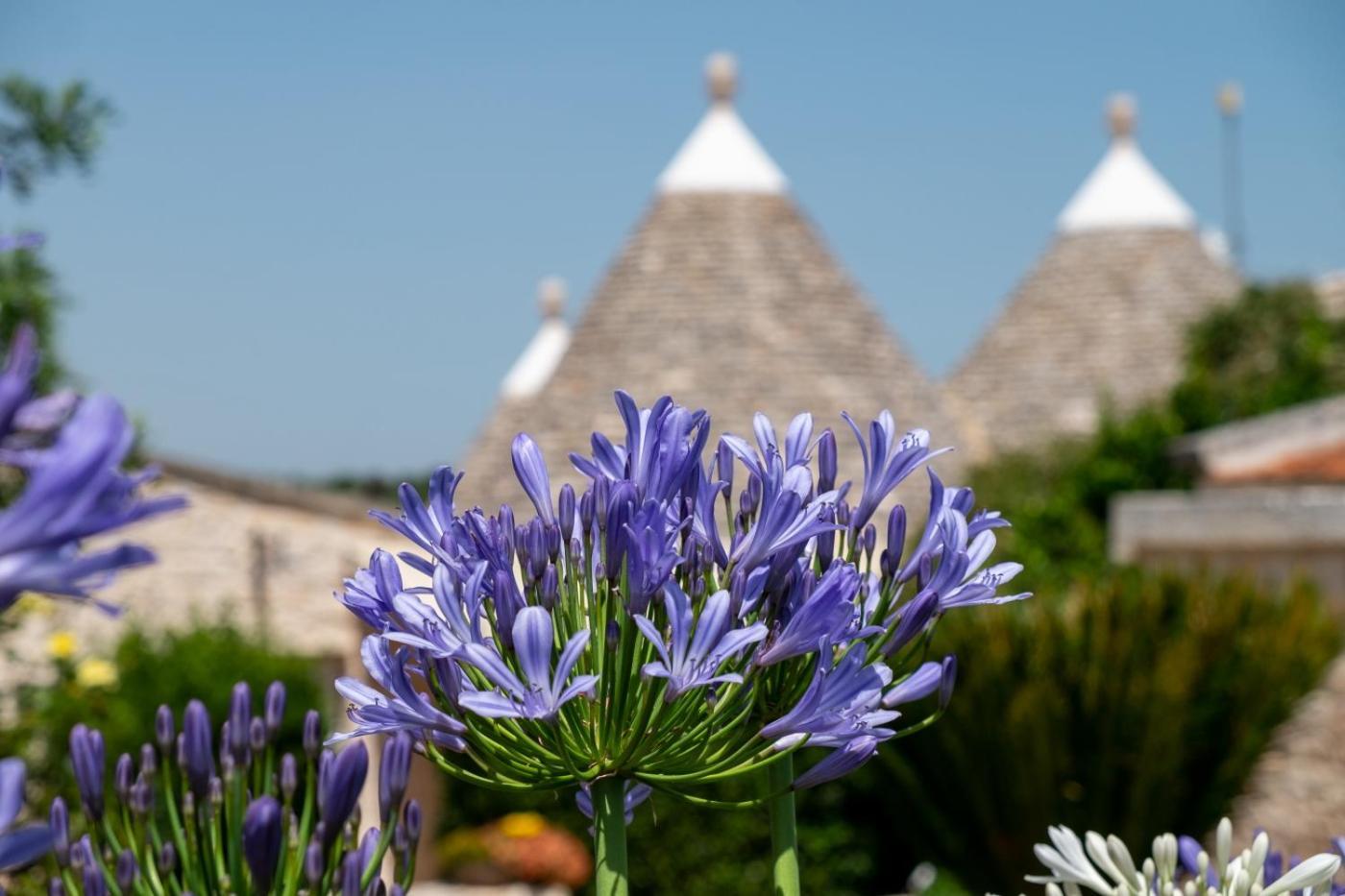 Trulli Oasi Fiorita - Exclusive Apulian Holidays Villa Castellana Grotte Exterior photo